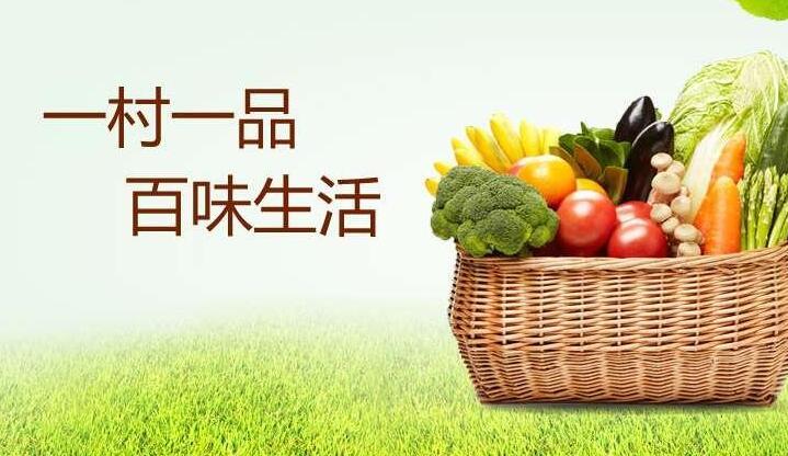 关于公开征集全国“一村一品”示范村镇形象标识设计方案的公告